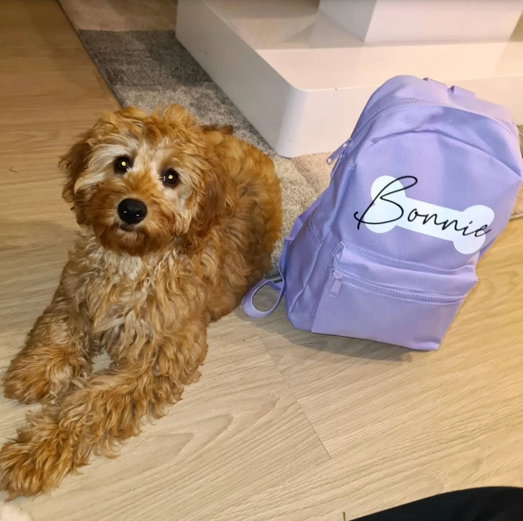 Personalised childrens mini backpack