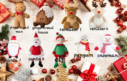 Personalised christmas teddy